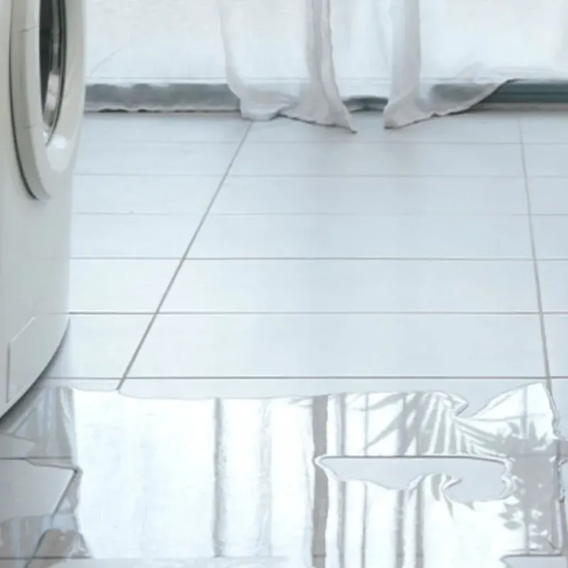 Appliance Leak Cleanup in Assumption, IL