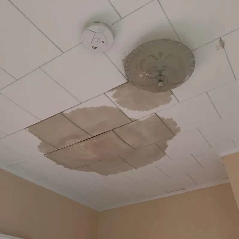 Ceiling Water Damage Repair in Assumption, IL