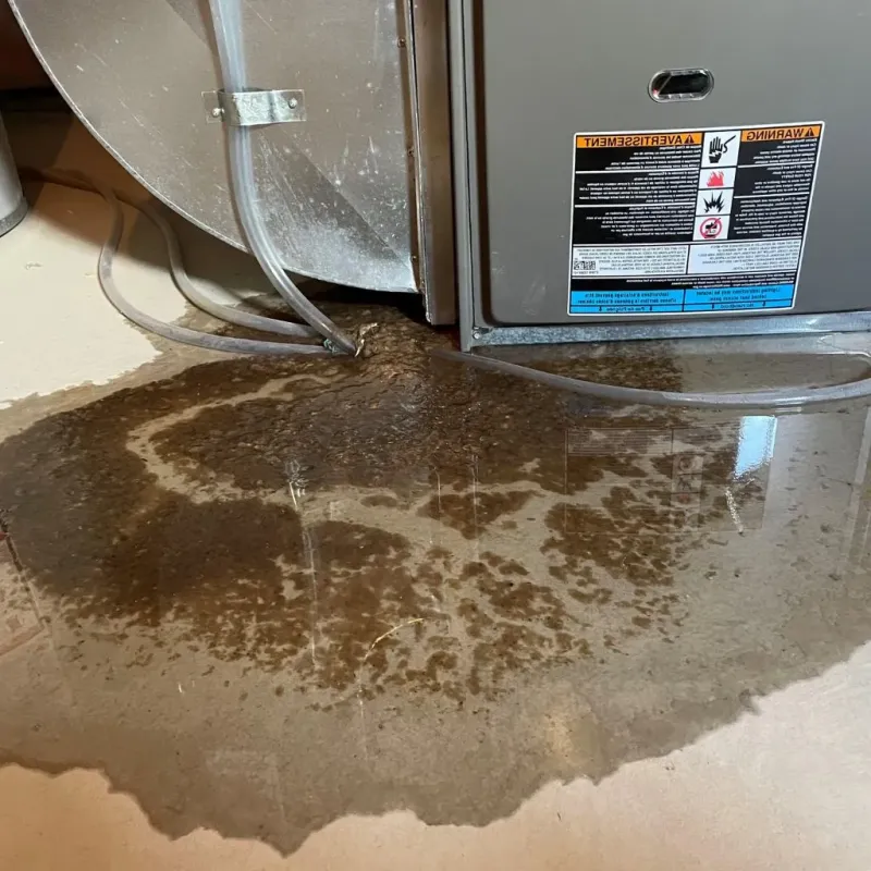 Pipe Burst and Leak Restoration in Assumption, IL