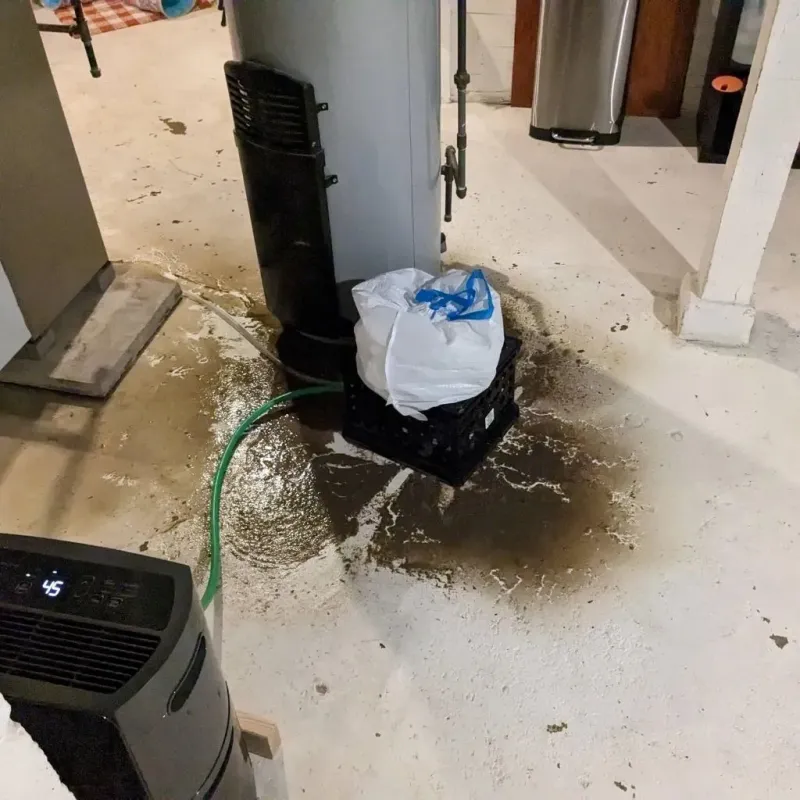 Sewage Backup Cleanup Service in Assumption, IL